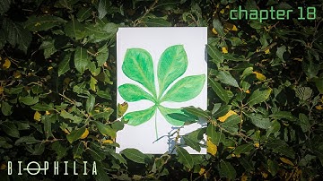 Ambient/Deep Techno: Biophilia - Chapter 18 (deep-sky objects Mix)