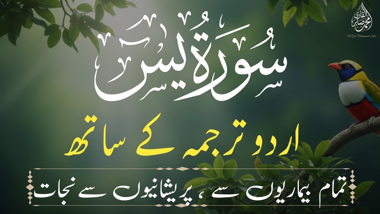 Surah Yasin  with Urdu Translation | سورہ یاسین | Quran Tilawat | ramzan 2026