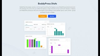 BuddyPress Stats Plugin: Track Your BuddyPress Community with BuddyPress Stats Plugin