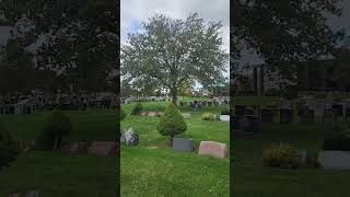 Land of Peace - St. Charles Cemeteries at Farmingdale #newyork #peace #blessings #icclifecoach