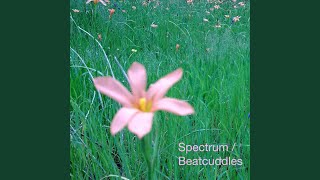 Download Spectrum Radio Mix Video MP3 Spectrum Radio Mix
