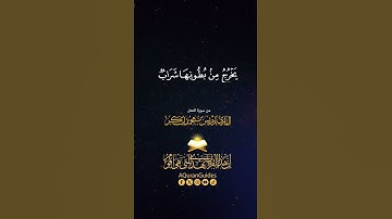 ﴿  وَأَوْحَىٰ رَبُّكَ إِلَى النَّحْلِ أَنِ اتَّخِذِي مِنَ الْجِبَالِ بُيُوتًا ﴾   القارئ إدريس أبكر