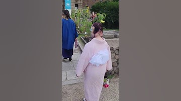 Wow - You wont believe what happens inside Japan