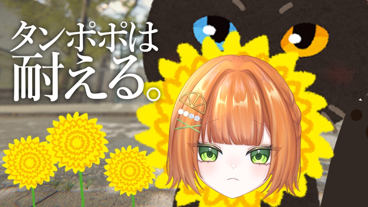【タンポポは耐える。】タンポポは雨ニモマケズ風ニモマケズ【 #橘せとか / #個人Vtuber 】