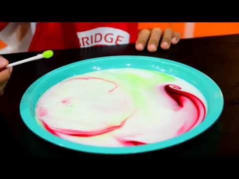 爱因斯坦的科学实验室 LITTLE EINSTEIN -  一起来探索科学的奥妙 EXPLORE THE WONDERS OF SCIENCE  (CHINESE VERSION)