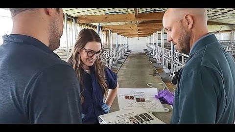 Antibiotic Stewardship: Calf Producer Education