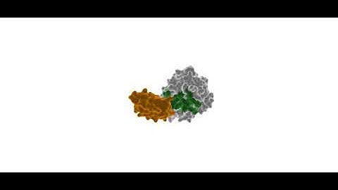 Protein-Protein Binding as a Two-Step Mechanism