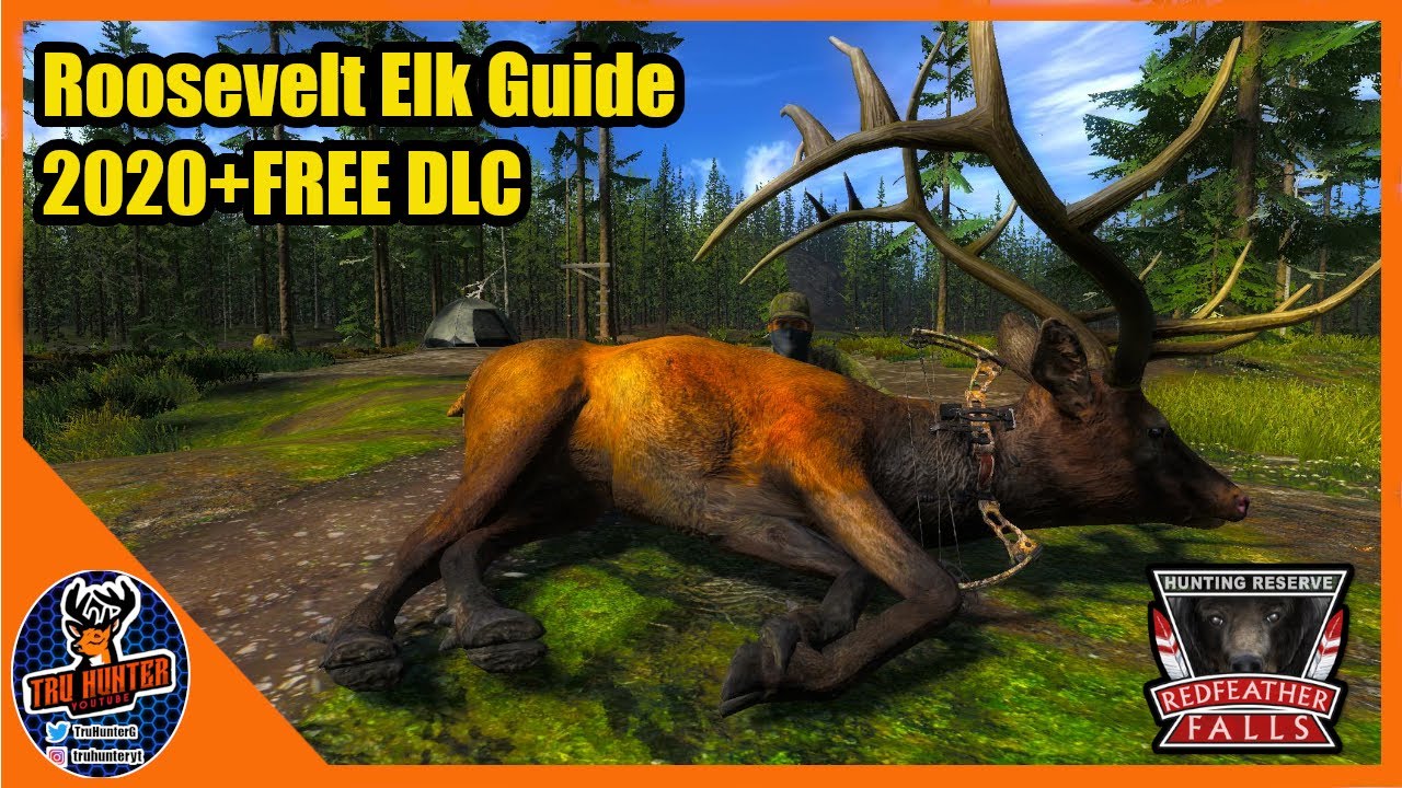 theHunter Classic Roosevelt Elk Guide 2020 YouTube
