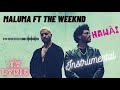 Maluma &amp; The Weeknd - Hawái Remix (Parole/Lyris/Karaoke/Tradution française)