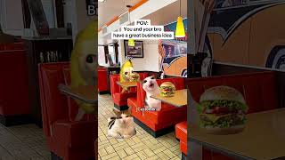 CAT MEMES 🐱You and your bro have a great business idea #catmemes #relatable #relationship