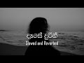 Dase Durin (දෑසේ දුරින්) - DILU Beats [Slowed and Reverbed]