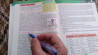 Binomial Nomenclature Importance and Advantages of Binomial Nomenclature Biology Grade #9 Unit #3 KP