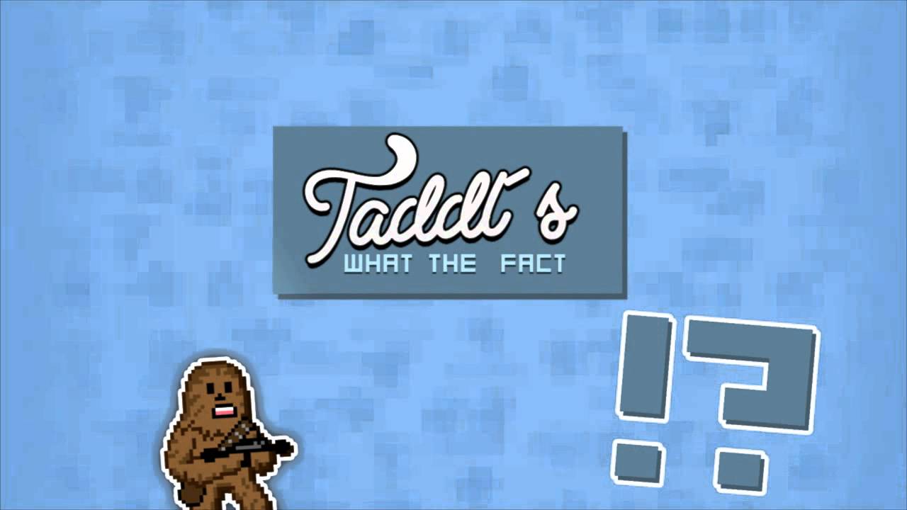 WTF Taddl Intro | by hero | ENTRY |