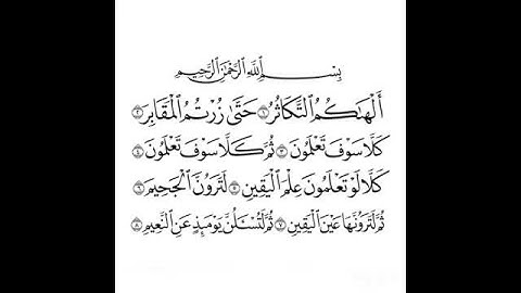 سورة التكاثر القارئ هزاع البلوشي