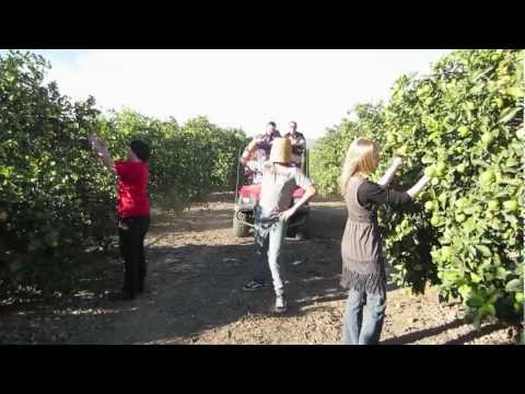 Harlem Shake (Family Farm Edition V.1)
