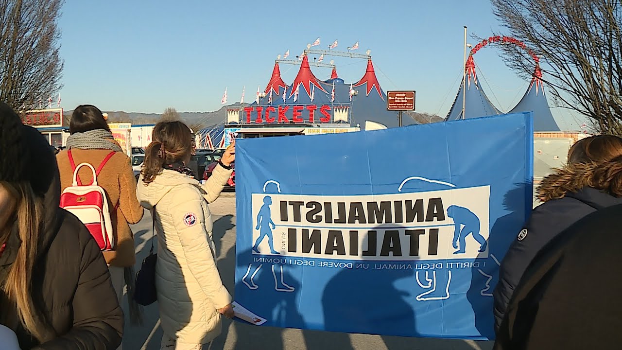 Protesta animalista contro il circo