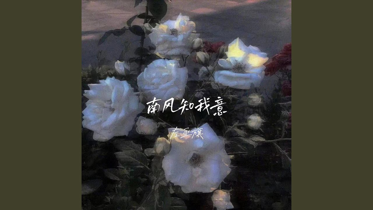 Mira 南风知我意 en YouTube Mira 南风知我意 en YouTube