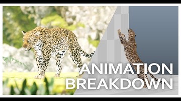 leopard jump breakdown