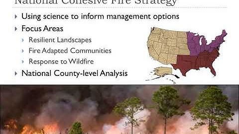 Geospatial Tools for Science Delivery and Supporting Forest Management Decisions