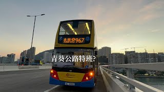 ［壞車前夕］城巴/CTB｜967 @ 8101 NC8285 ￼￼天恩邨 ➡️￼ 青葵公路 ￼(附無剪接過客情況￼￼)