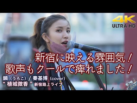 【 歌うま 】新宿に映える雰囲気！歌声もクールで痺れました！ 鱗（うろこ） / 秦基博（cover） " 植城微香 " 2022.5.3 新宿路上ライブ 4K映像