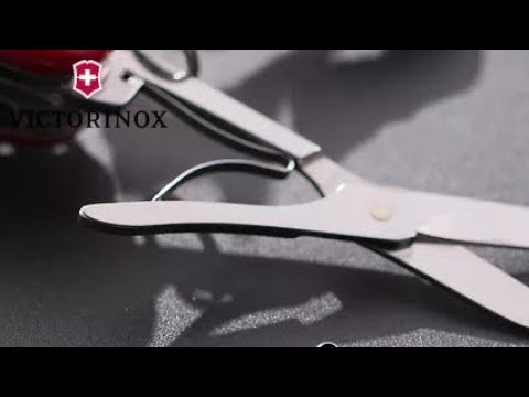 I Have Never Seen This On A Set Of Victorinox Scissors Before