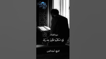 «.. لا تسجدوا للشمس ولا للقمر واسجدوا لله..» تلاوة هادئة ورائعة للشيخ أحمد النفيس سورة فصلت