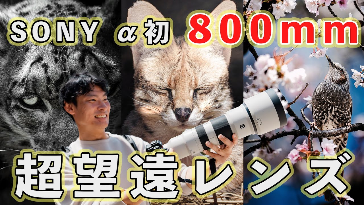 SONY 400-800mm G] Taking pictures of animals with the new super