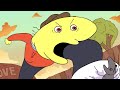 End of video