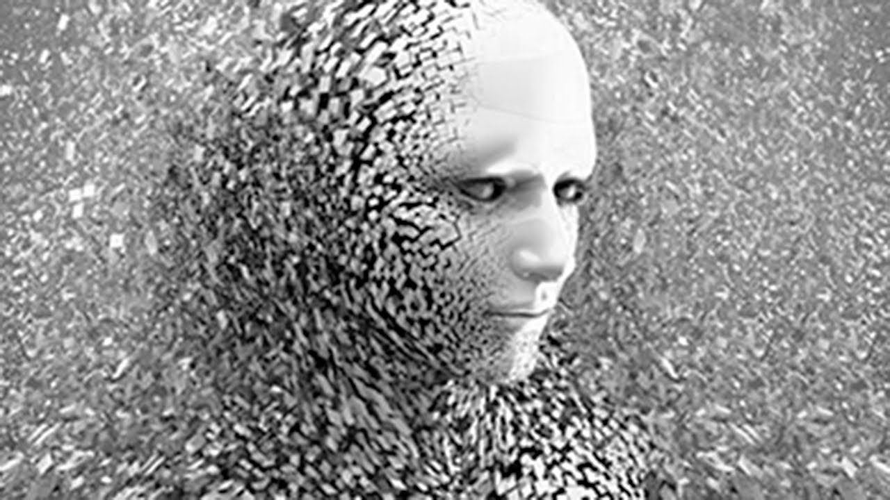 Animal Humano, Humano Animal - YouTube