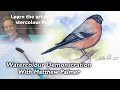 Paint Along With Matthew. Painting Birds In Watercolour