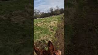 Introductory video, Spring 2025