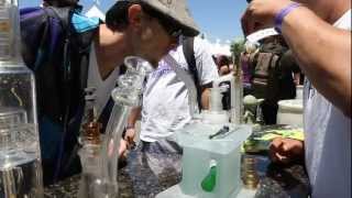 2012 HIGH TIMES Bay Area Medical Cannabis Cup - Day Two
