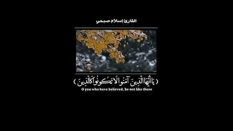 صوت القارئ إسلام صبحي اجمل مقاطع واتس واستغرام  دينية قصيرة مؤثرة جدا