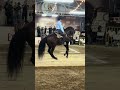 🔥🐴🤠 #caballos