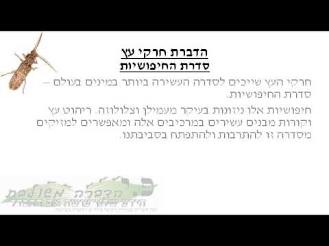 וִידֵאוֹ: זחלי חיפושית הקליפה: תיאור, שיטות בקרה ועובדות מעניינות