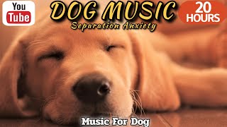 20 HOURS of Dog Calming Sleep Music🐶💖Anti Separation Anxiety Relief🦮🎵 Dog Soothing Music⭐Healingmate