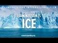 Nature is speaking liam neeson is ice    ci