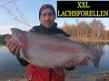 XXL Lachsforelle " ES KNALLT AN DER RUTE UND DIE BREMSE SCHREIT " TROUT AREA   -CAM TROUT BAITS -