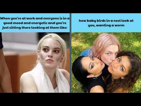 Random Memes That Actually Made Me Laugh