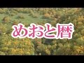 めおと暦  島津悦子 COVER