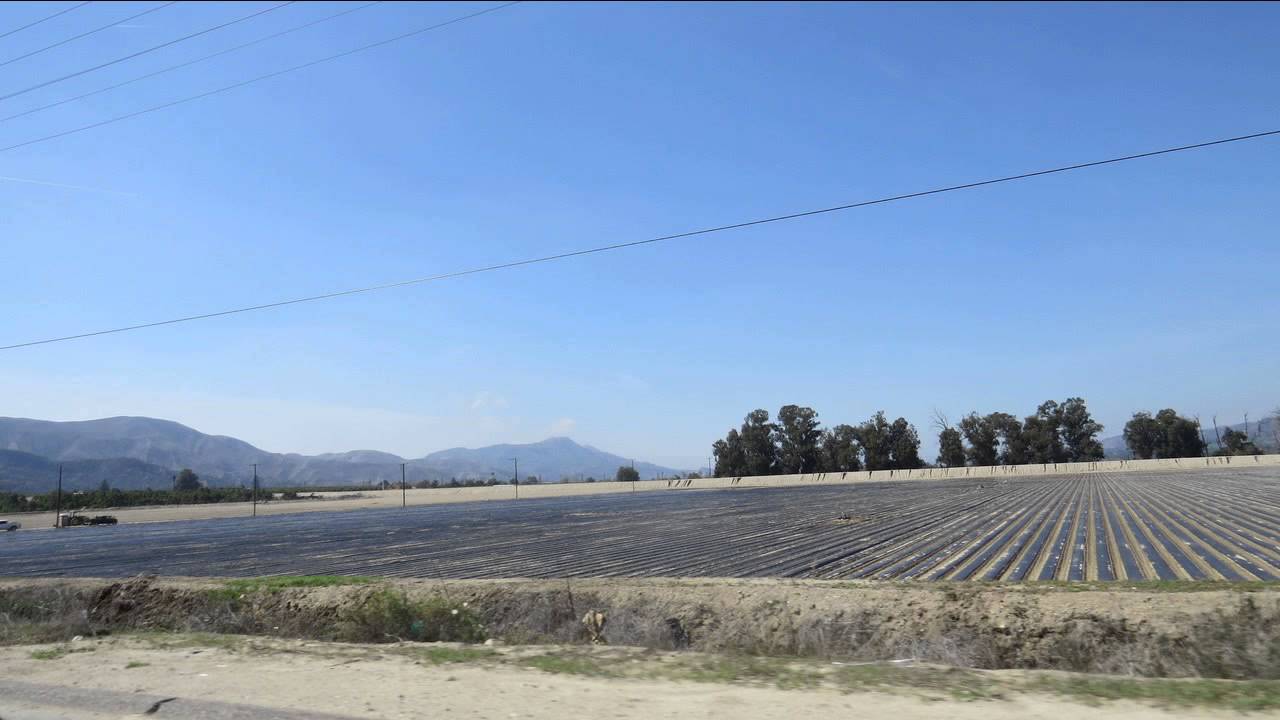 Agricutural Farms In Fillmore CA YouTube