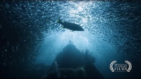 Charting the Future  Terradepth