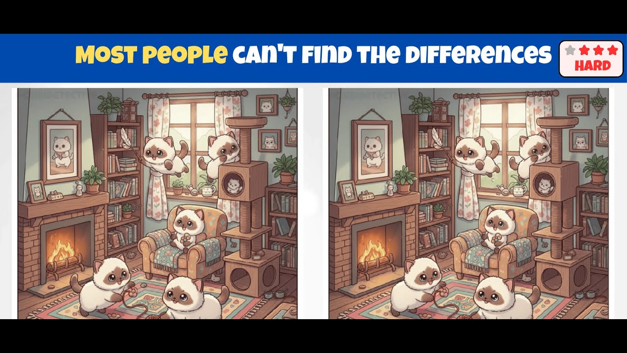 Spot 3 Differences | Brain Exercises  0024