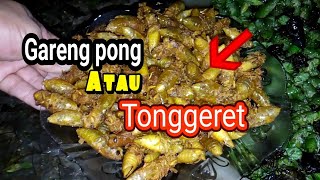 Tutorial Cara Menggoreng Tonggeretgarengpong Sebelum Di Makan