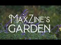 MaxZine&#39;s Garden