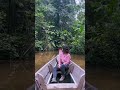 Je traverse la fort amazonienne en pirogue sur le fleuve maroni 
