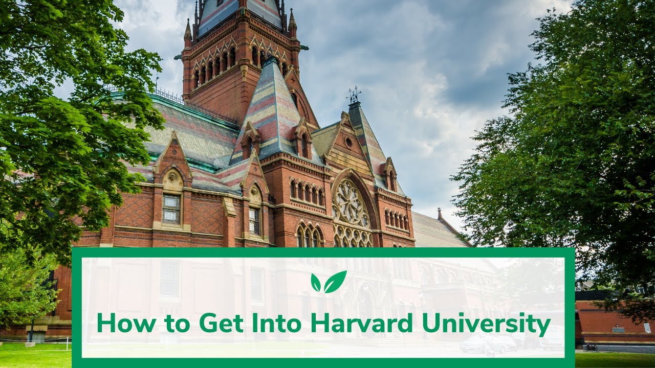 What Does It Take to Get Into Harvard? | CollegeVine Blog