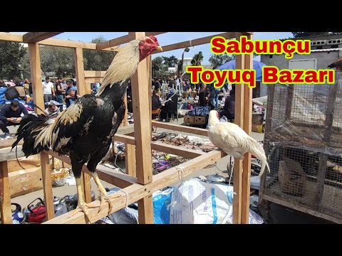 Sabunçu Toyuq Bazarı