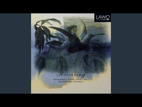Sonata for Accordion No. 2, Mustat linnut / Black Birds (1990) : V. Mustat linnut / Black Birds